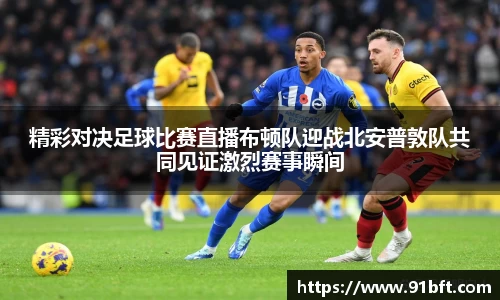 365完美体育官网